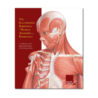 ZZ Anatominal Chart Set - Book