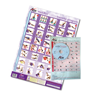 ZZ Swiss Ball Exercise Prescription Kit